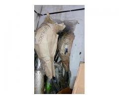 Knalpot Satria RU / LSCM Merk AHM