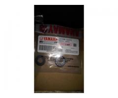 Laher Trush Jupiter Z