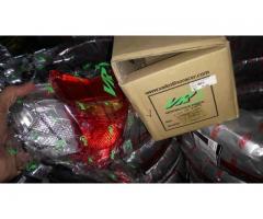 Lampu Belakang Vega ZR