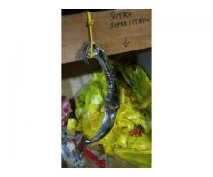 Pedal Persneleng Supra Fit / X